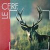le cerf