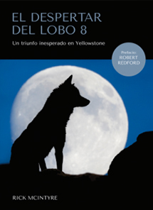 El-despertar-del-lobo-8