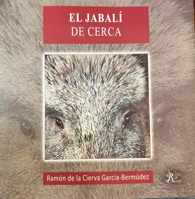 el jabali de cerca. ramon de la cierva